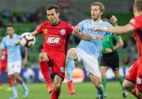 Nhận định Adelaide United vs Melbourne City 15h30, 23/10 (Chung kết cúp QG Úc)