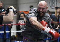 Tyson Fury dự định thi đấu MMA vào cuối năm nay