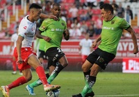 Nhận định Monarcas Morelia vs FC Juarez 08h00, 01/11 (Vòng 16 giai đoạn 1 VĐQG Mexico)
