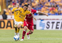 Nhận định Tigres UANL vs Toluca 10h00, 31/10 (vòng 16 VĐQG Mexico Apertura)