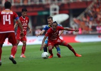 Nhận định Kalteng Putra vs Persib Bandung 18h30, 01/11 (Vòng 26 VĐQG Indonesia)