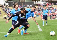 Nhận định Sydney FC vs Newcastle Jets 15h30, 01/11 (Vòng 4 VĐQG Úc)