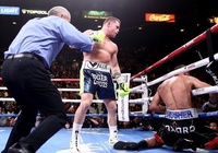Saul “Canelo” Alvarez hạ gục Kovalev, trở thành nhà vô địch 4 hạng cân