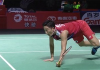 Kento Momota bất ngờ rút khỏi giải cầu lông Hong Kong Open