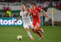 Soi kèo Wales vs Hungary 02h45, 20/11 (Vòng loại Euro 2020)