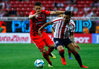 Nhận định Chivas Guadalajara vs Veracruz 10h00, ngày 24/11 (VĐQG Mexico)