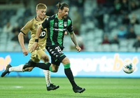 Nhận định Western United FC vs Sydney FC 12h00, 01/12 (Vòng 8 giải VĐQG Úc)