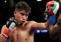 Mikey Garcia sẵn sàng đấu tại UFC nếu khoản thù lao đủ lớn