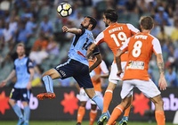 Nhận định Sydney FC vs Brisbane Roar FC 15h30, ngày 07/12 (VĐQG Úc)