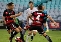 Nhận định Wellington Phoenix vs Western Sydney Wanderers 13h00, ngày 07/12 (VĐQG Úc)