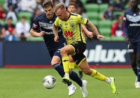 Nhận định Melbourne Victory vs Wellington Phoenix FC 13h00, 14/12 (Vòng 10 giải VĐQG Úc)