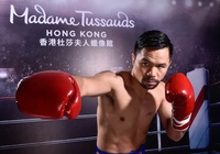 Manny Pacquiao sẽ được dựng tượng sáp tại bảo tàng Madame Tussauds Hong Kong