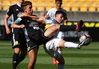 Nhận định Hamilton Wanderers AFC vs Hawke's Bay United 10h00, ngày 22/12 (VĐQG New Zealand)