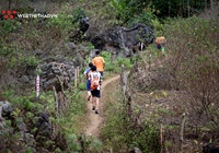 Mộc Châu mùa hoa nở chào đón các VĐV đến với Vietnam Trail Marathon 2020