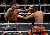 Naoya Inoue sẽ tái xuất vào tháng 4 năm 2020