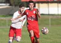 Nhận định U23 Adelaide United vs U23 Perth Glory 07h00, 28/12 (Vòng 7 giải trẻ Úc)