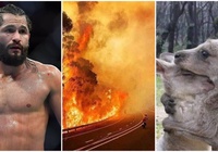 Jorge Masvidal đến Úc để hỗ trợ công tác chữa cháy rừng