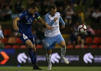 Nhận định Newcastle Jets vs Sydney FC 15h30, ngày 10/01 (Giải VĐQG Úc)