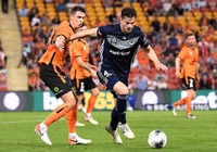 Nhận định Brisbane Roar FC vs Melbourne City FC 13h00, 11/01 (Giải VĐQG Úc)