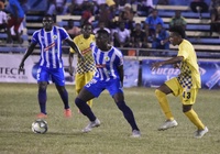 Nhận định Harbour View FC vs Mount Pleasant 08h00, ngày 14/01 (VĐQG Jamaica)