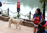 Chú chó hai tuổi được tặng kỷ niệm chương hoàn thành 42km Vietnam Trail Marathon 2020
