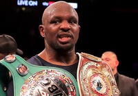 Klitschko KO Wilder: Chuyện bịa như thật của Dillian Whyte?