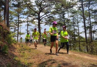 Cự ly 21km Dalat Ultra Trail 2020 có gì mới?