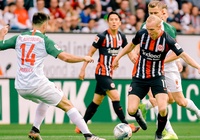 Soi kèo Eintracht Frankfurt vs Augsburg, 02h30 ngày 08/02 (Bundesliga 2019/2020)