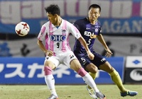 Nhận định bóng đá Sagan Tosu vs Yokohama FC 17h00, 26/02 (Cúp Liên đoàn Nhật Bản)