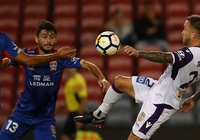 Nhận định bóng đá Newcastle Jets vs Perth Glory 13h00, 29/02 (VĐQG Úc)