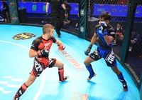 Liên đoàn Võ tổng hợp quốc tế tổ chức giải MMA đồng đội đầu tiên