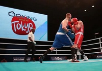 Vòng loại Boxing Olympic tại châu Âu hoãn vì COVID-19