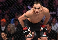 Tony Ferguson, "Ông Kẹ" của hạng nhẹ UFC là ai?