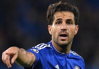 Fabregas thẳng thừng chỉ trích các đồng đội ở Chelsea