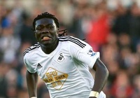 Bafetimbi Gomis: Đúng chất gỗ mít