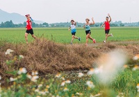 Những thông tin hữu ích cần nhớ tại Minh Đạm Discovery Marathon 2021