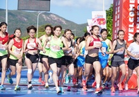 Hơn 250 VĐV chuyên nghiệp dự giải marathon vô địch quốc gia 2024 ở Phú Yên