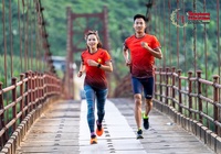 Điều kiện để VĐV phong trào chạy cung 42km chuyên nghiệp giải marathon quốc gia 2023