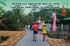 Mekong Delta Marathon cung cấp địa điểm lưu trú cho VĐV dự giải
