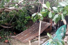 Căn nhà tuổi thơ Hồng Lệ ở quê Bình Định tan hoang vì bão số 9