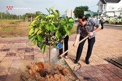 Mekong Delta Marathon lan tỏa thông điệp bảo vệ môi trường bằng trồng mới hàng nghìn cây xanh