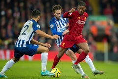 Lịch trực tiếp Bóng đá TV hôm nay 28/11: Brighton vs Liverpool