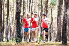 Tiền Phong Marathon 2021 với “Giấc mơ đại ngàn” phủ xanh Việt Nam