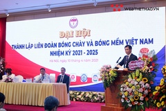 Liên đoàn Bóng chày và Bóng mềm Việt Nam chính thức ra mắt