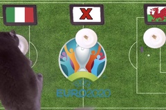 Mèo tiên tri dự đoán bóng đá EURO hôm nay 20/6: Italia vs Xứ Wales