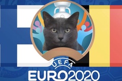 Mèo tiên tri dự đoán bóng đá EURO hôm nay 21/6: Phần Lan vs Bỉ