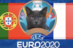 Mèo tiên tri dự đoán bóng đá EURO hôm nay 23/6: Bồ Đào Nha vs Pháp