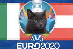Mèo tiên tri dự đoán bóng đá EURO hôm nay: Italia vs Áo