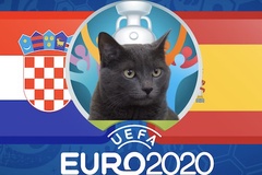 Mèo tiên tri dự đoán bóng đá EURO hôm nay 28/06: Croatia vs Tây Ban Nha
