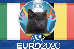 Mèo tiên tri dự đoán bóng đá EURO hôm nay 02/07: Bỉ vs Italia